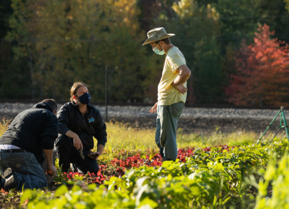 Farmer Joe speaks with volunteers during the fall 2020 gleaning for Oberlin Community Services.